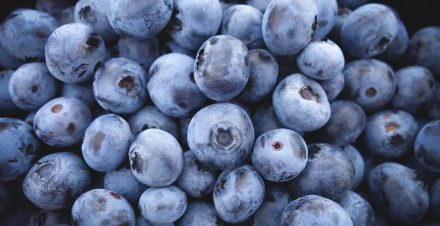 blueberries-690072_1280